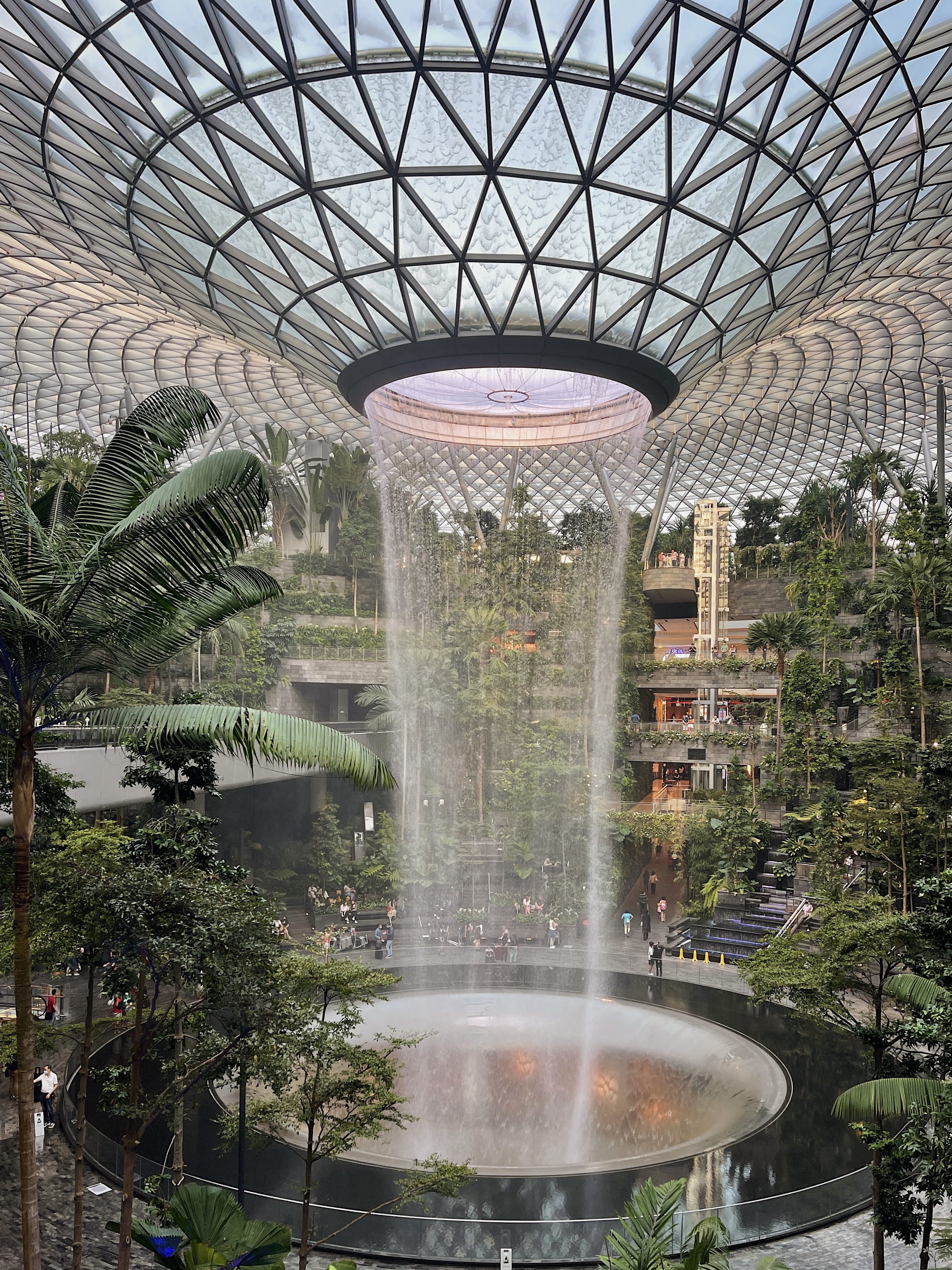 How to Study Abroad for Free